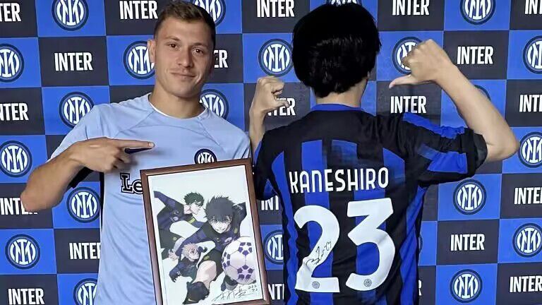 曾效力过沙尔克04、大巴黎，赢得过法甲、欧会杯、法国杯、法国超级杯、法国联赛杯冠军等荣誉。